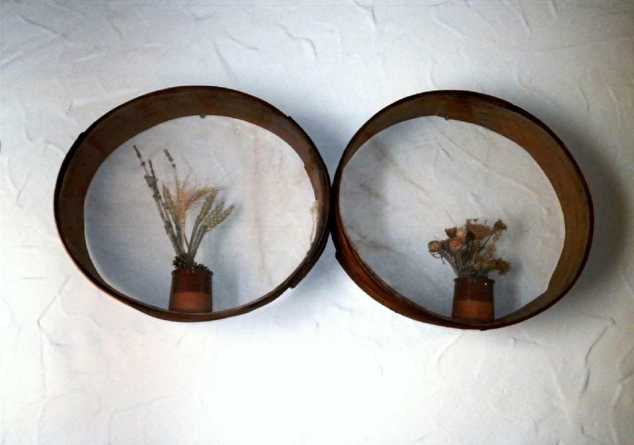 Torremocha de Ayllón Casa Rural Calle Real Bed & Breakfast エクステリア 写真